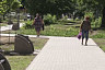В сквере Энгельса высадили березы и установили лавочки